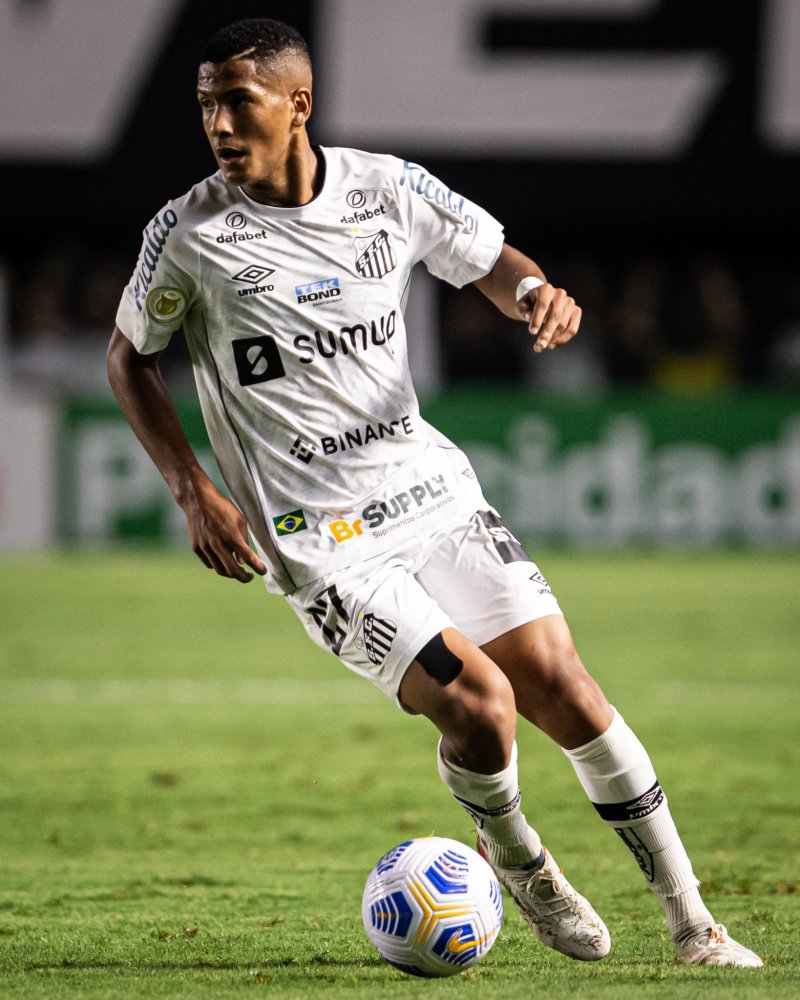 历了一些波 历了一些波