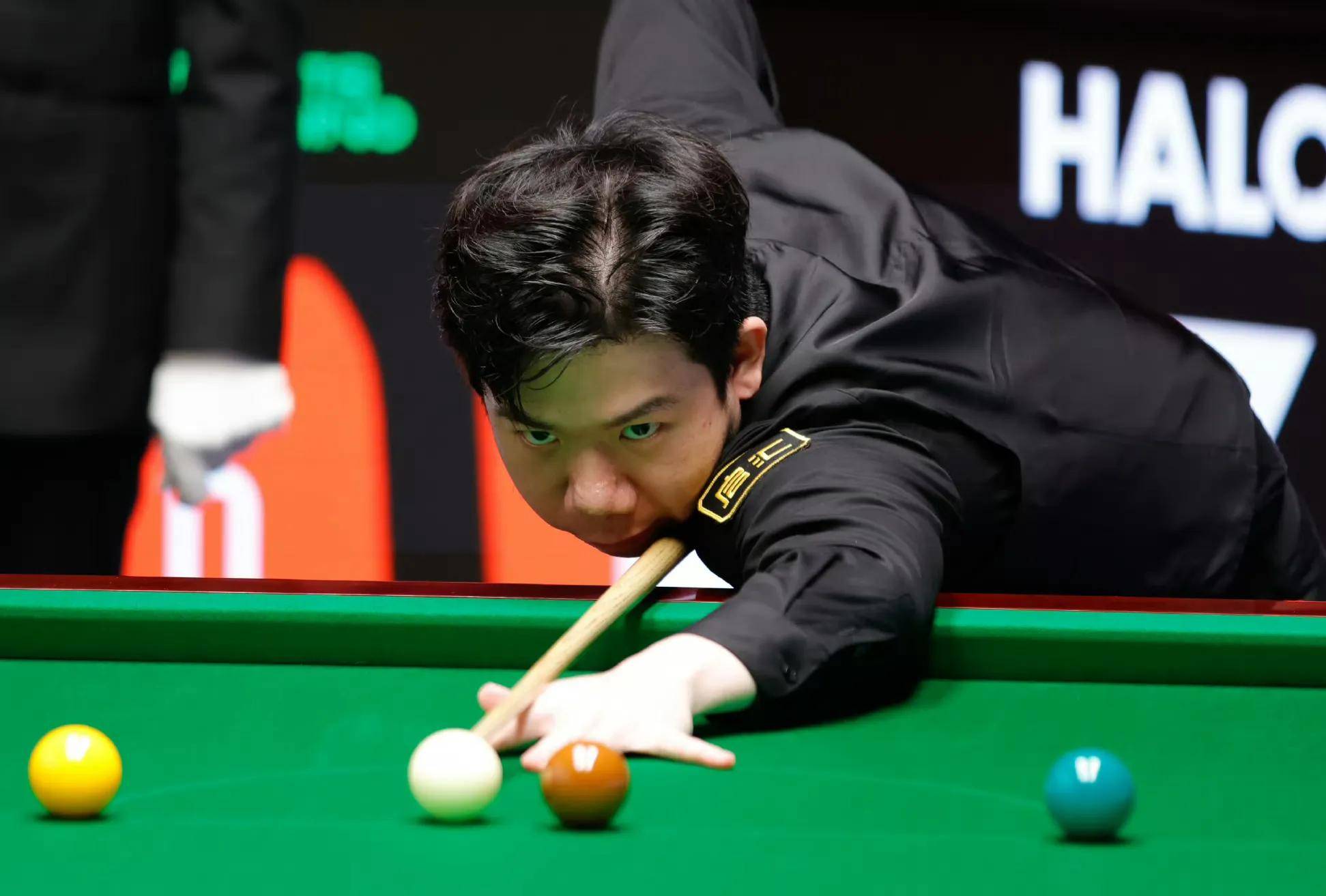 它也展现了 它也展现了